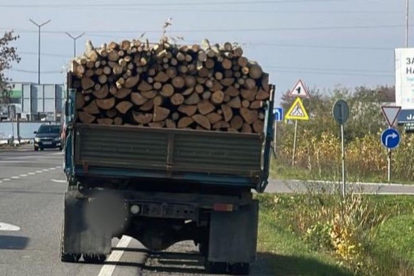 В Ужгороді виявили керманича, який незаконно перевозив деревину