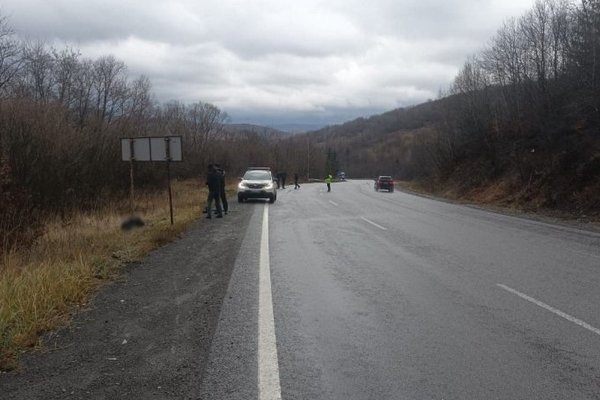 На Львівщині затримали водія вантажівки, який збив перехожу на Закарпатті