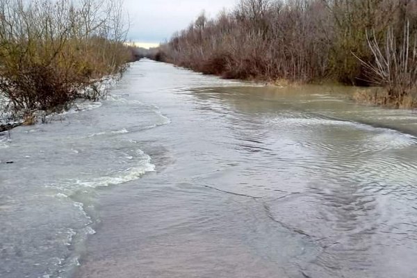 Наслідки паводку: Оперативна інформація щодо проходження паводку на Закарпатті