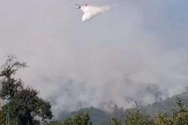 Лісова пожежа на Закарпатті: вогонь підходив до помешкань людей