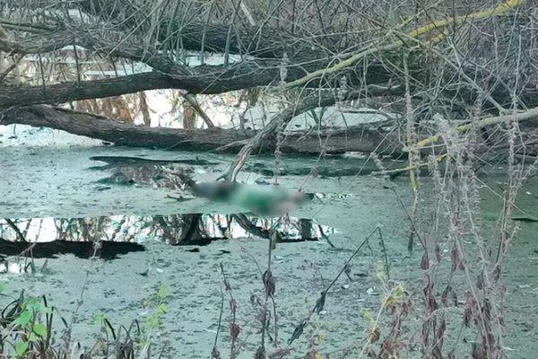 У річці на Миргородщині знайшли мертвого чоловіка