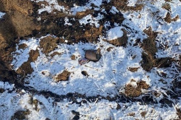 Облили хімікатами і закопали: на Київщині знайшли рештки 23-річної дівчини з Закарпаття