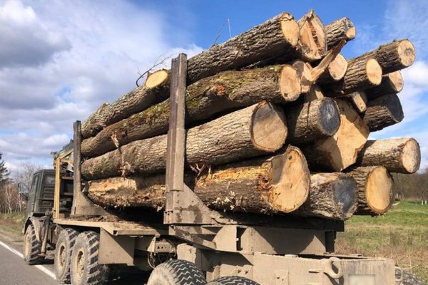 На Мукачівщині патрульні зупинили КамАЗ з «лівою» деревиною
