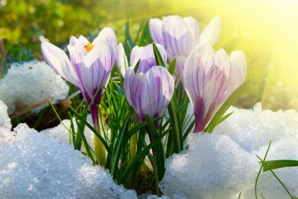 До України повертається похолодання: якою буде погода 27 березня