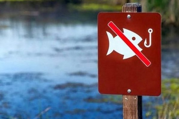На Закарпатті з 1 квітня вводиться весняно-літня нерестова заборона вилову риби