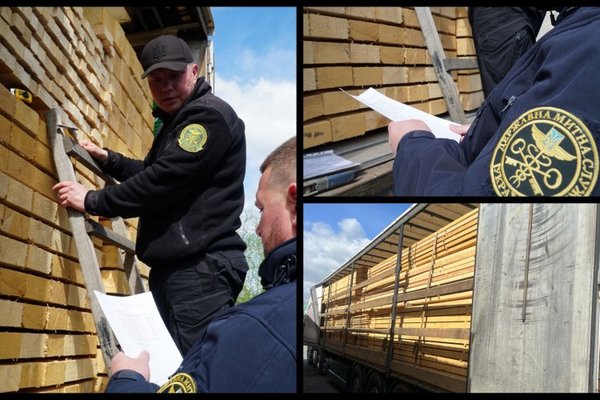 На Закарпатті розкрили схему нелегального вивозу деревини за кордон