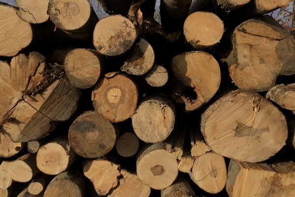 На Закарпатті побудують одне з найбільших підприємств деревообробної галузі України