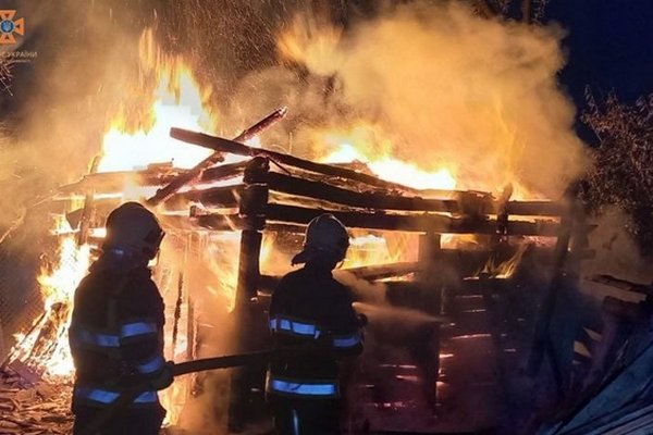 На пожежі в Мукачеві згоріли свині та кози