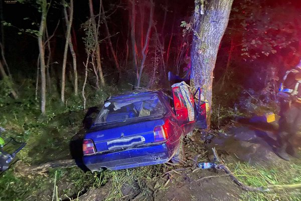 На Закарпатті легковик вилетів з дороги просто у дерево, тіло водія діставали рятувальники. ФОТО