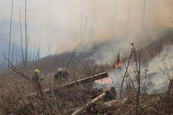 На Рахівщині рятувальники ліквідовують пожежу на території лісгоспу