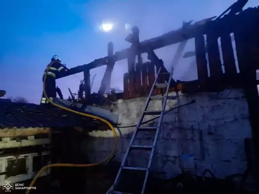 Тячівські та місцеві вогнеборці загасили пожежу в надвірній споруді