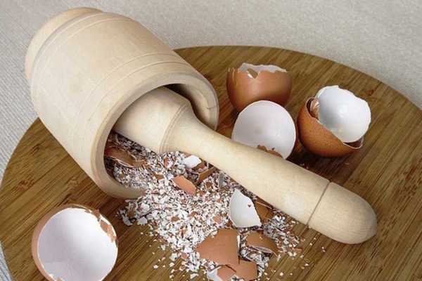 Яєчна шкаралупа на дачі: користь і шкода — розвіюємо міфи