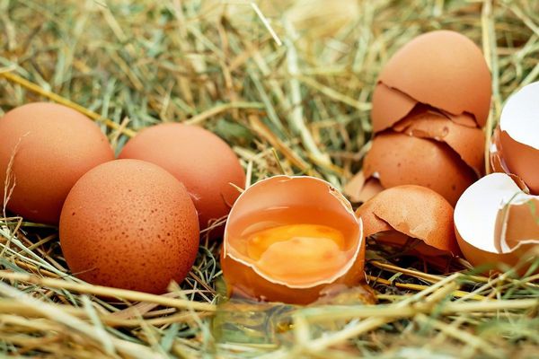 Яка відмінність сільських яєць від магазинних та їхня користь