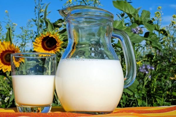 Полийте ці рослини молоком: урожай будете збирати відрами