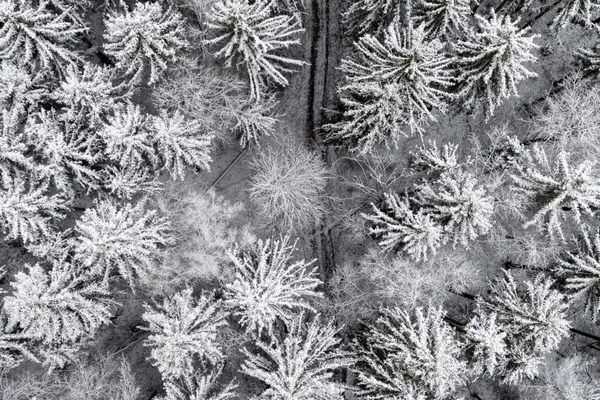 Прогноз погоди на 14 грудня