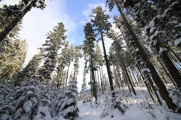 Прогноз погоди на 18 січня