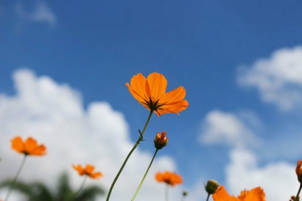 Прогноз погоди на 1 липня