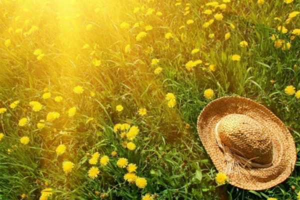 Прогноз погоди на 16 серпня
