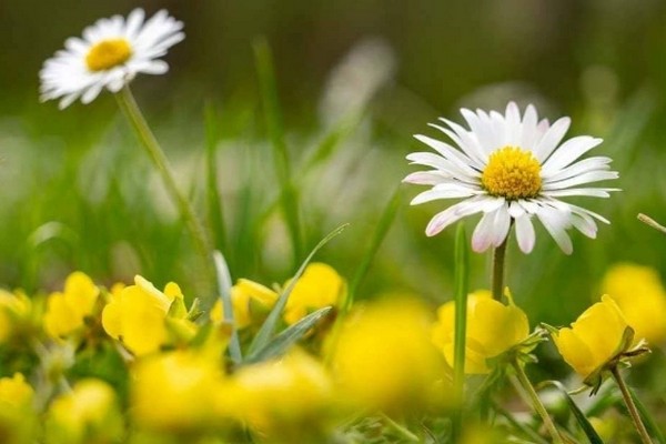 Прогноз погоди на 6 серпня