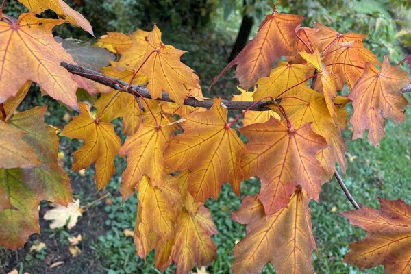 Прогноз погоди на 30 жовтня