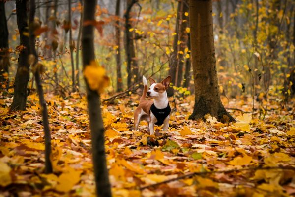 Прогноз погоди на 2 листопада
