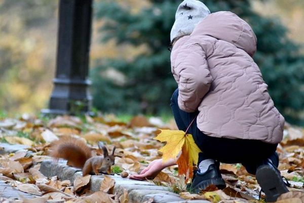 Прогноз погоди на 4 листопада