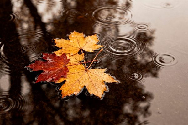 Прогноз погоди на 4 грудня