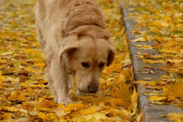 Прогноз погоди на 29 листопада