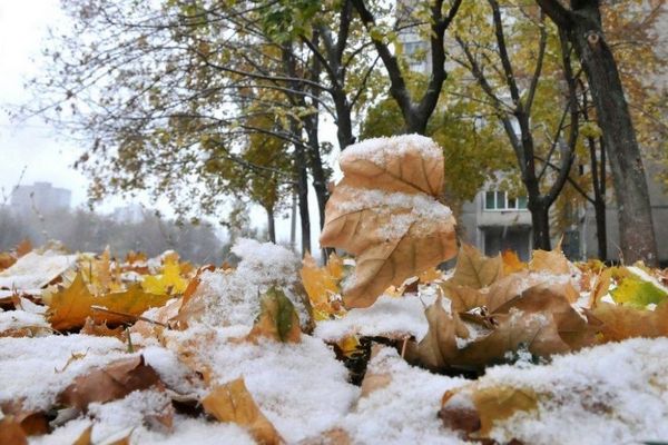 Прогноз погоди на 22 листопада