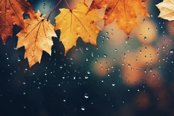 Прогноз погоди на 11 листопада