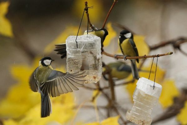 Прогноз погоди на 3 листопада