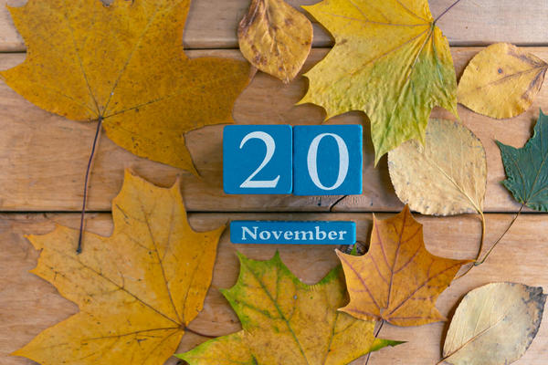 Яке сьогодні свято 20 листопада