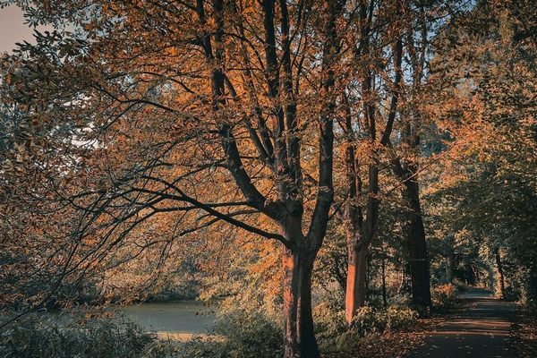 Прогноз погоди на 13 листопада