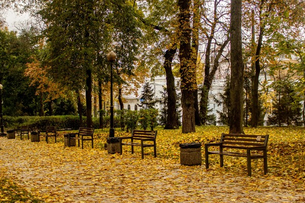 Прогноз погоди на 24 листопада