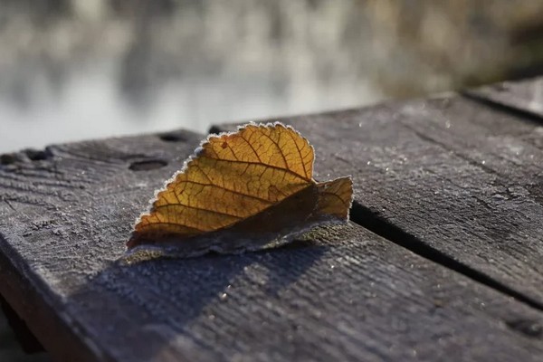 Прогноз погоди на 7 грудня