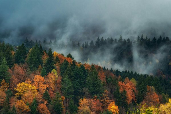 Прогноз погоди на 9 листопада