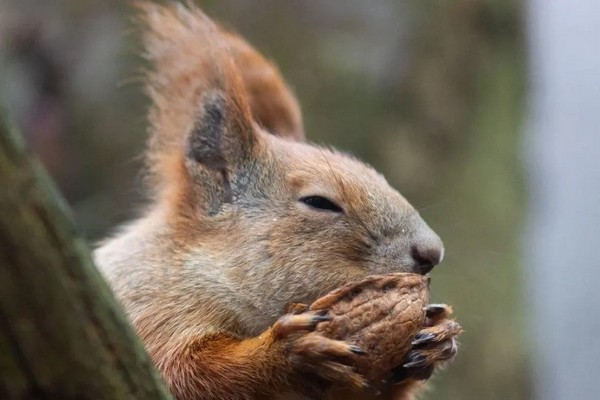 Прогноз погоди на 18 грудня