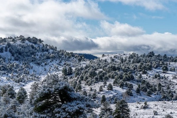 Прогноз погоди на 19 січня