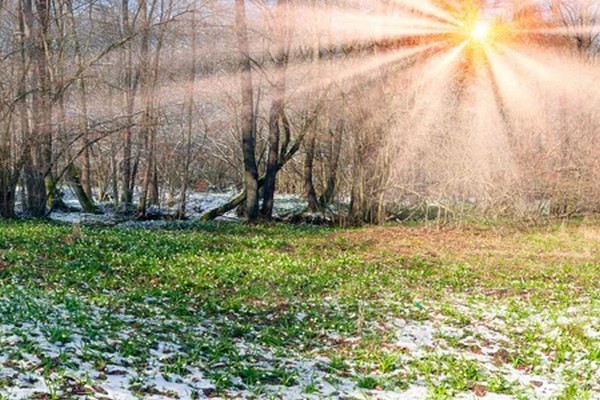 Прогноз погоди на 20 січня