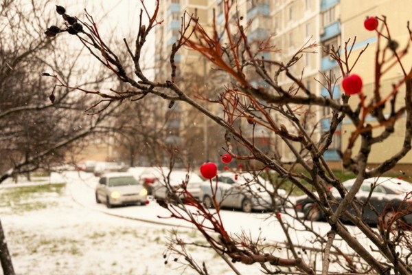 Прогноз погоди на 26 грудня