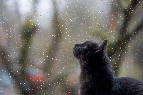 Прогноз погоди на 22 грудня