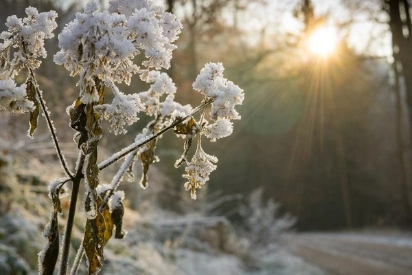 Прогноз погоди на 2 січня