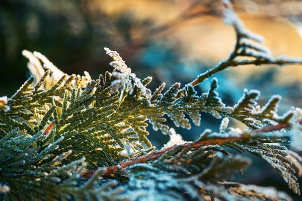 Прогноз погоди на 10 грудня