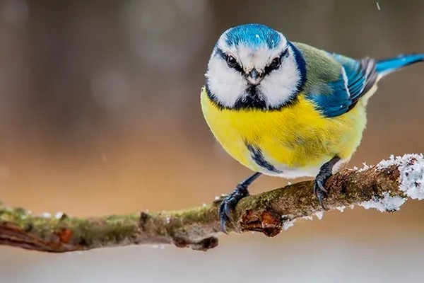 Прогноз погоди на 23 грудня