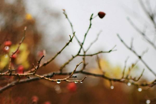 Прогноз погоди на 13 грудня