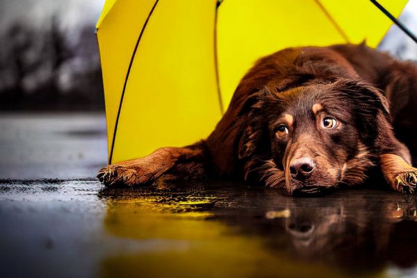 Прогноз погоди на 20 грудня