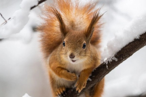 Прогноз погоди на 3 лютого