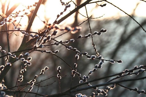 Прогноз погоди на 30 січня