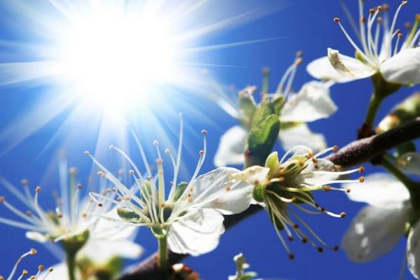 Сонячне пробудження: прогноз погоди у Хусті на сьогодні