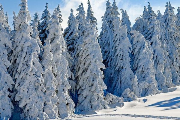 Прогноз погоди на 22 січня